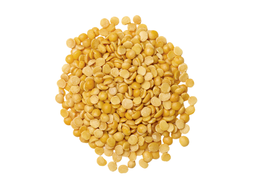 yellow split peas scattered on a white background yellow split peas scattered on a white background