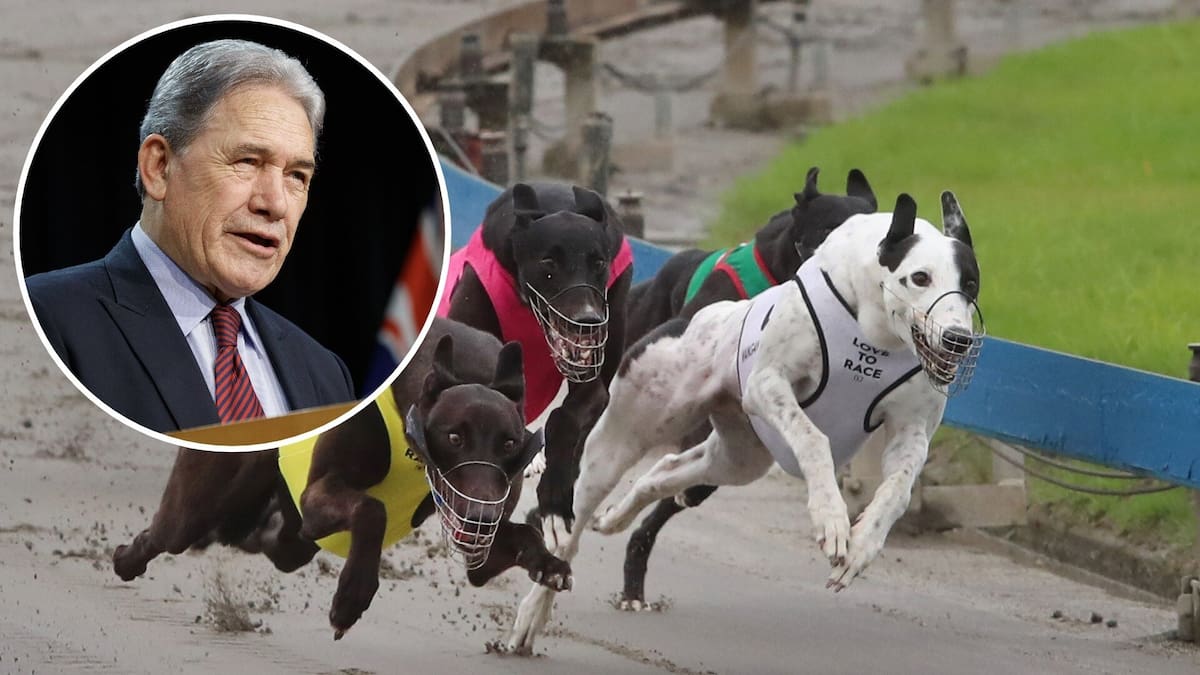 Greyhound bosses admit battle to keep dog racing alive is over