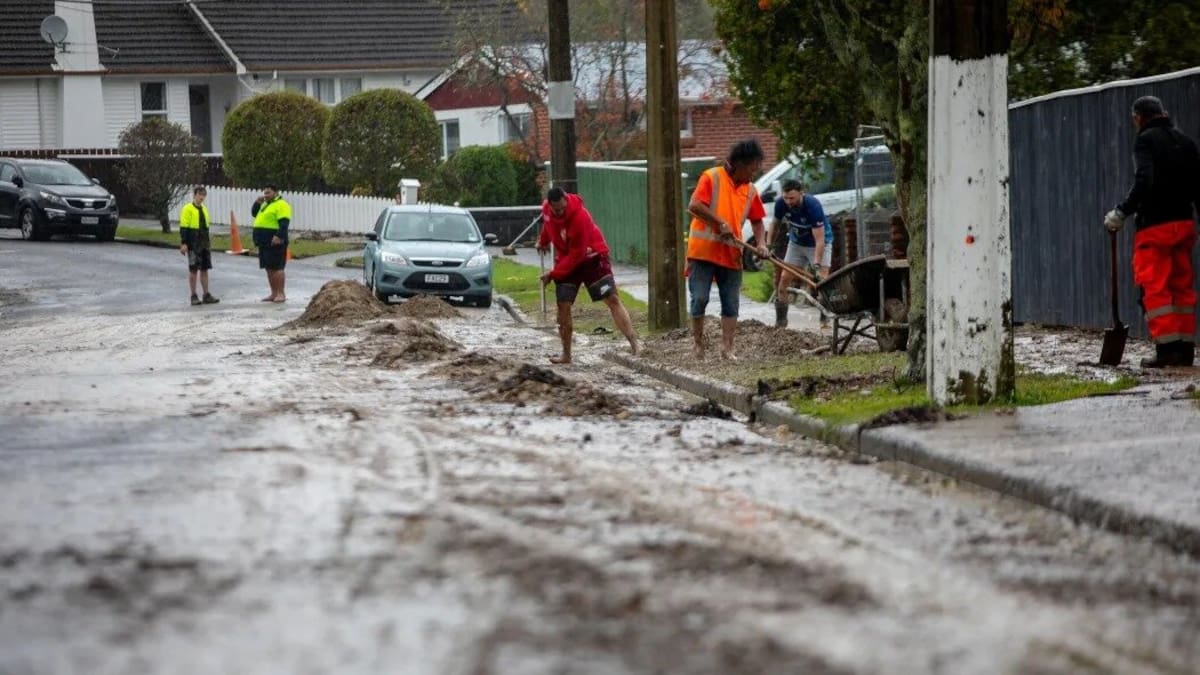 Dozens evacuated from Wellington suburbs as torrential rain causes floods, more downpours expected