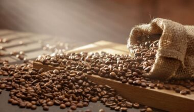 Northland coffee trials: MPI backs new high-value crop for growers