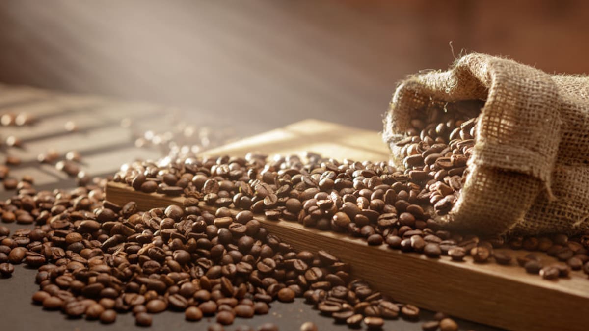 Northland coffee trials: MPI backs new high-value crop for growers