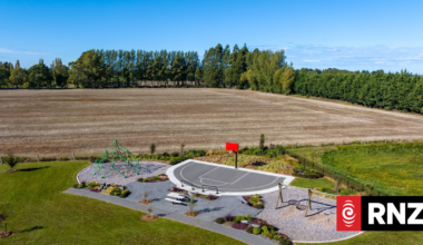 Too many parks? Deputy mayor questions cost of green space
