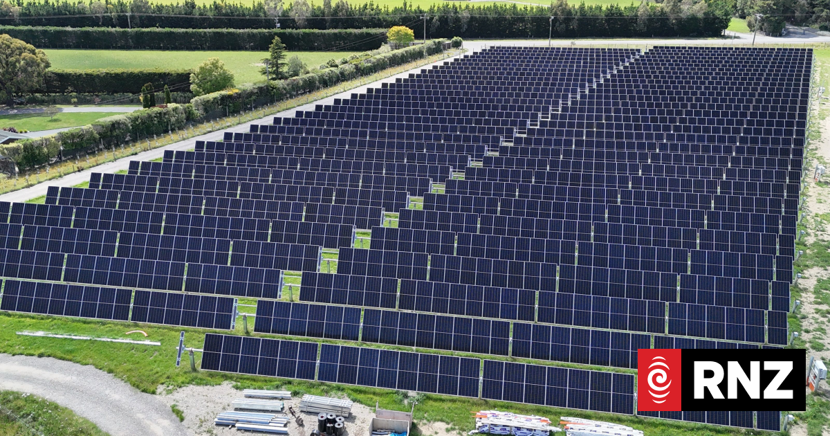 Paddocks to power: The rise of small-scale solar farms