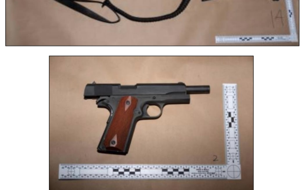 Cole Tomas Allen was armed with a 12-gauge pump-action shotgun and a .38 calibre pistol, according to the court documents.