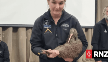 Kiwi bird steps into Parliament to celebrate Capital Kiwi project growth