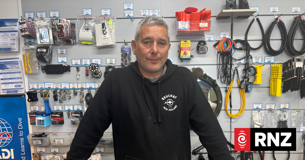 Wellington council considers support for struggling businesses after Moa Point disaster