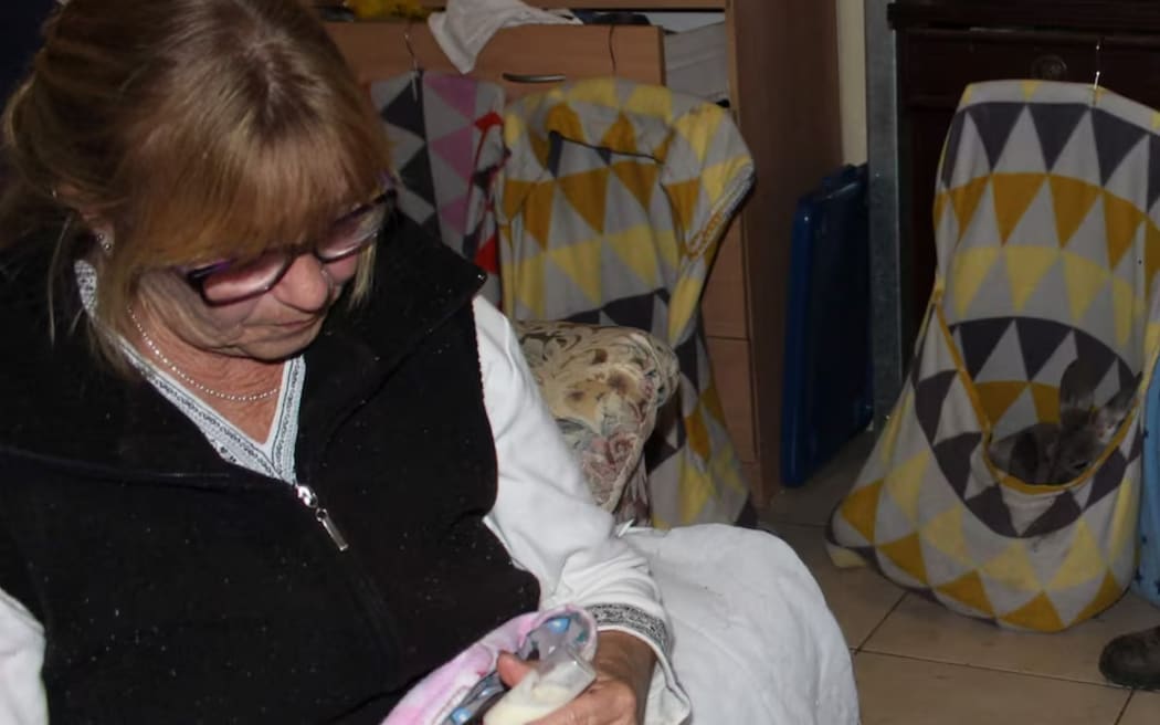 Tanya O'Donohue is retiring after dedicating more than 30 years to saving injured animals.