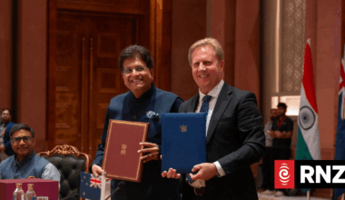 Economic gains from India free trade deal modest to begin with - MFAT