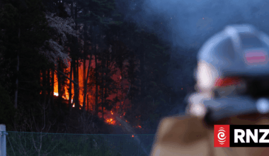 Tsunami survivor battles wildfire to protect hometown in Japan's northeast