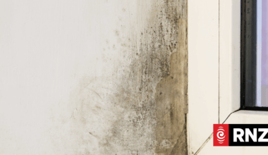 Auckland landlord and pharmacist Scarlett Hong ordered to pay $13k over mouldy rental
