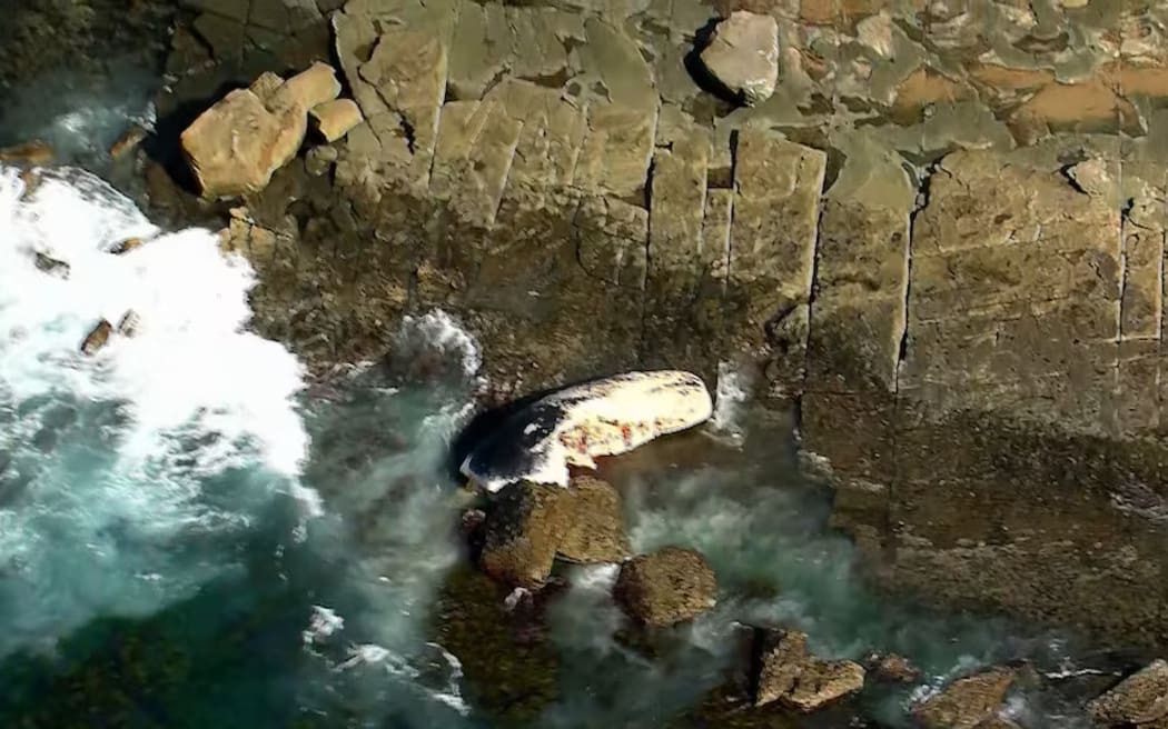 Beachgoers are warned to stay out of the water.
