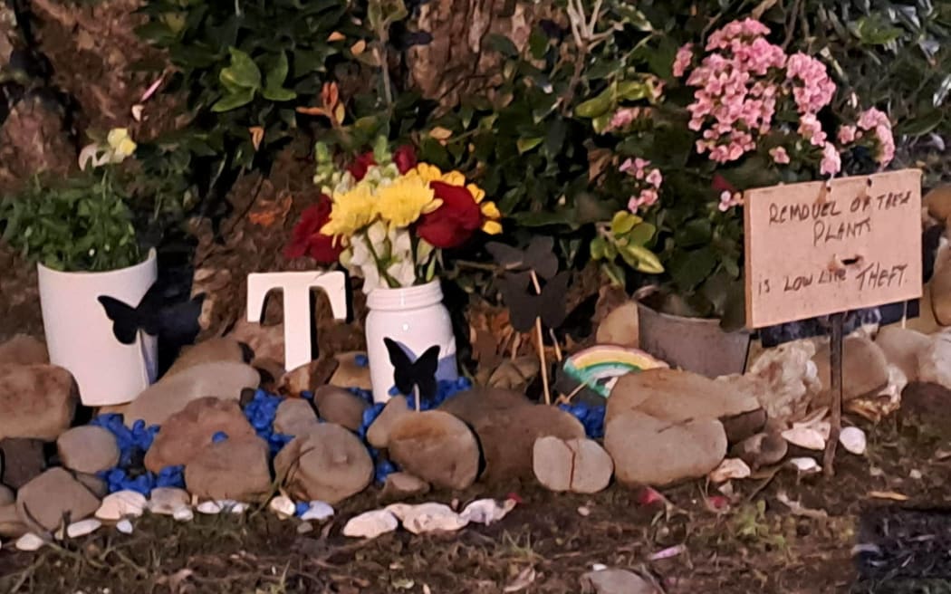 Items that had now disappeared from the tree at Arkles Bay.