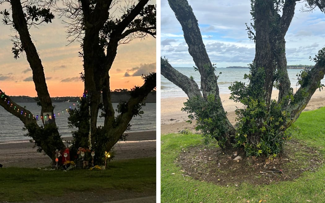 The tree at Arkles Bay which has become a temporary memorial for Tyler Porter, before and after items were allegedly taken.