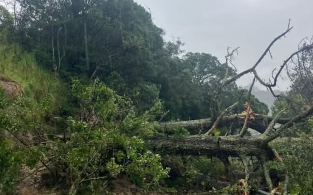 The major slip that closed the Hibiscus Coast Highway.