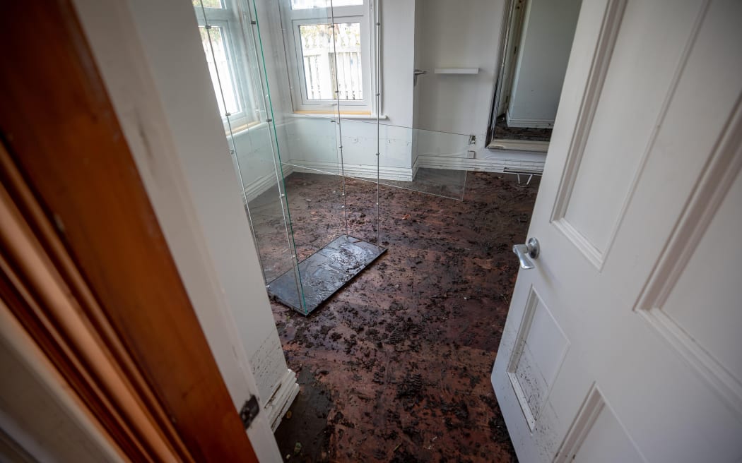 Homes will have to be gutted and businesses could be closed for months in the wake of Wellington's Monday flood.