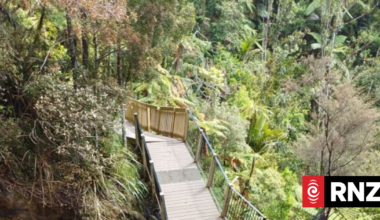 Popular Auckland waterfall track to partially re-open following fire