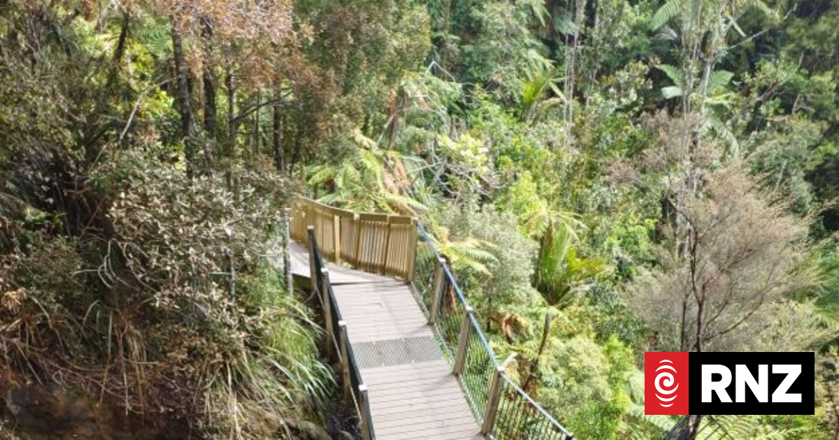 Popular Auckland waterfall track to partially re-open following fire
