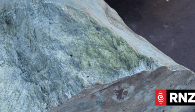 The 'whack-a-mole' of protecting pounamu