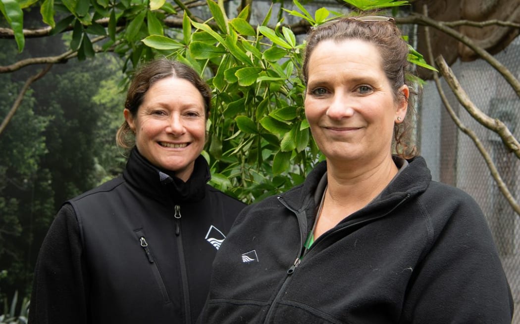 Zookeepers Eve Cozzi and Kelly Green say small efforts can make a big difference to wildlife (Te Korimako o Taranaki).
