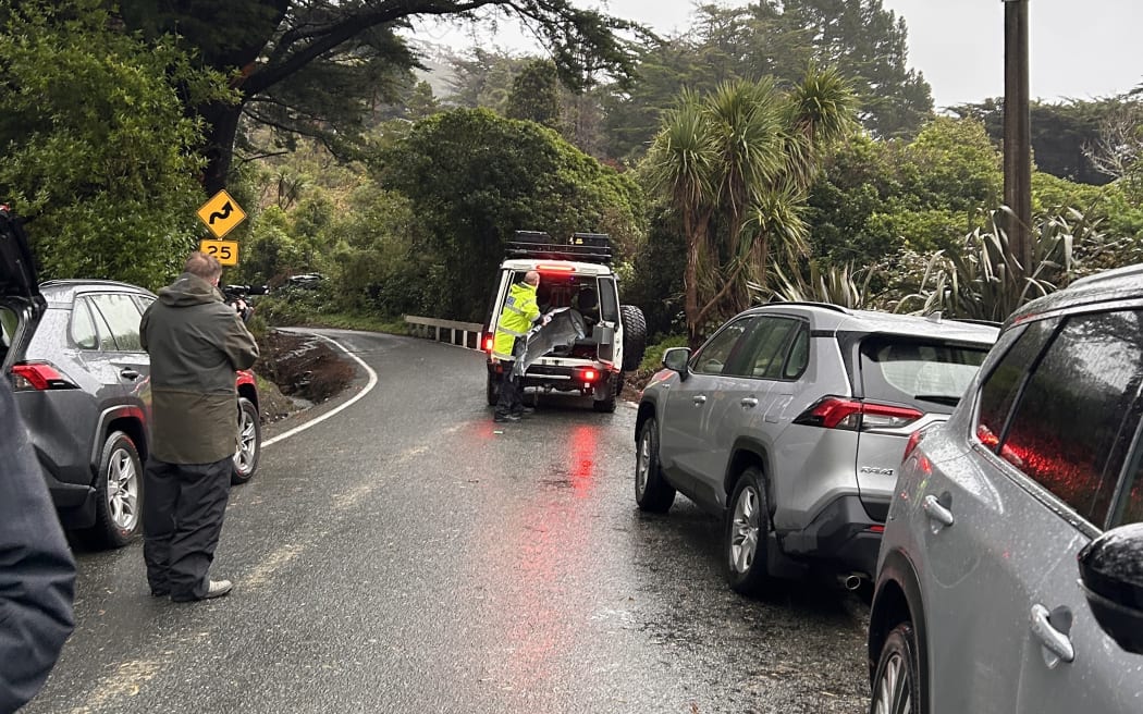 Police had collected the bumper of a silver car from the scene but had not linked it to Sutton's vehicle.