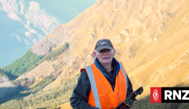 Wilding pine control group fears Queenstown's vistas could be decimated without more funding