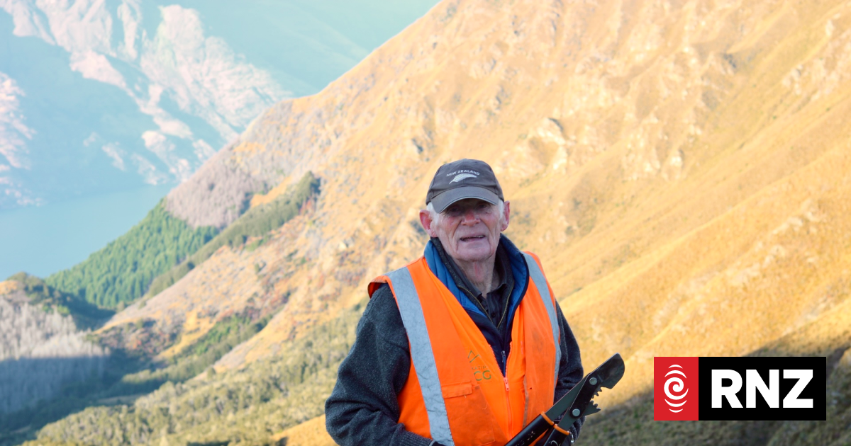 Wilding pine control group fears Queenstown's vistas could be decimated without more funding