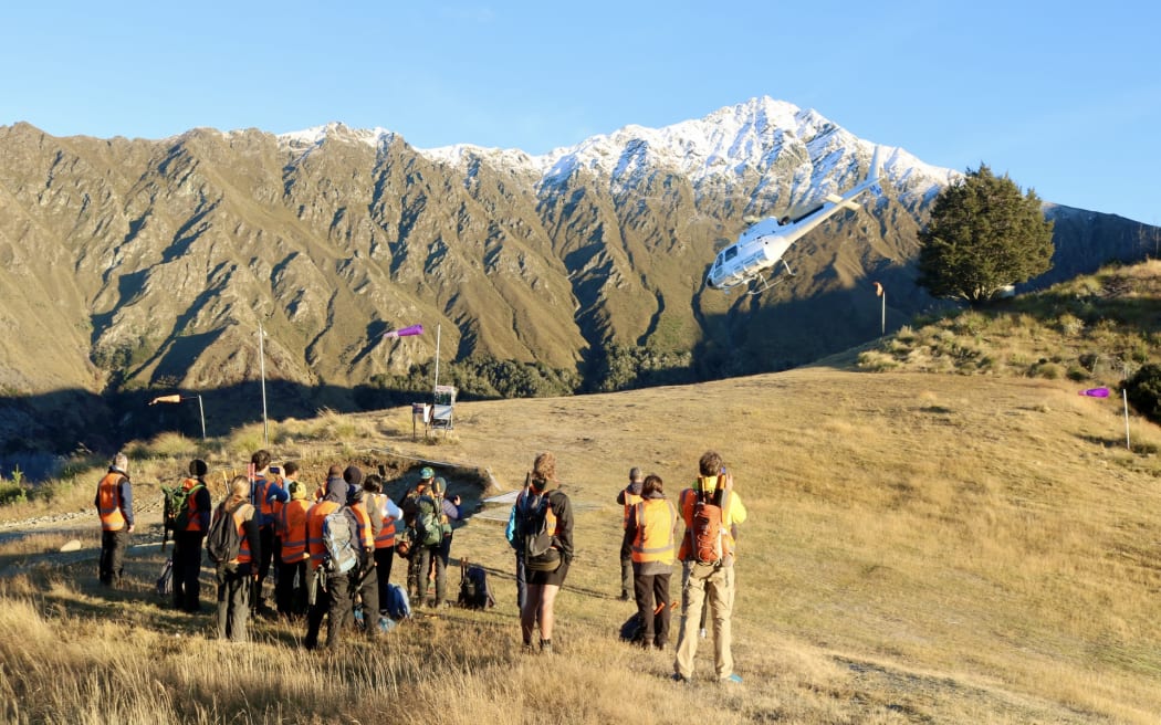 Whakatipu Wilding Control Group carries out volunteer events at sites like Queenstown Hill, Coronet Peak and Ben Lomond.