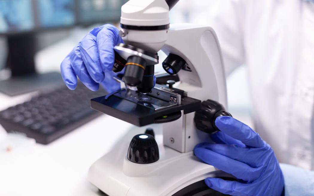 Specialist researcher completing a lab test.