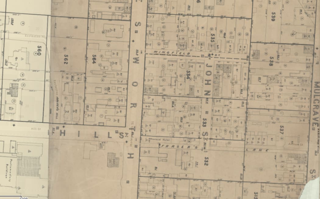 An area of Thomas Ward's map that includes the 1890s Parliament (bottom left), and parts of Hill street, Molesworth street and the edge of the densely packed "slum" area between Parliament and the Anglican Cathedral.