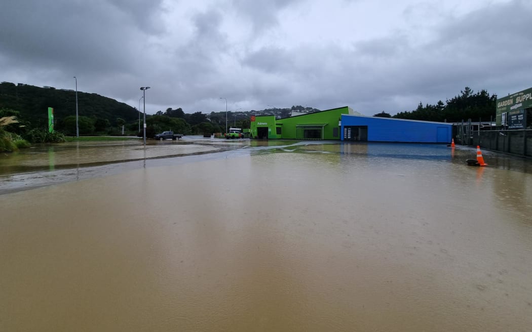 Flooding near a Wellington Palmers Garden Centre.