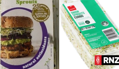 Sprout products recalled due to possible presence of listeria bacteria