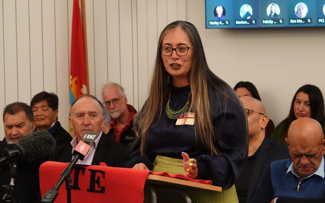 Green MP Hūhana Lyndon addresses councillors.