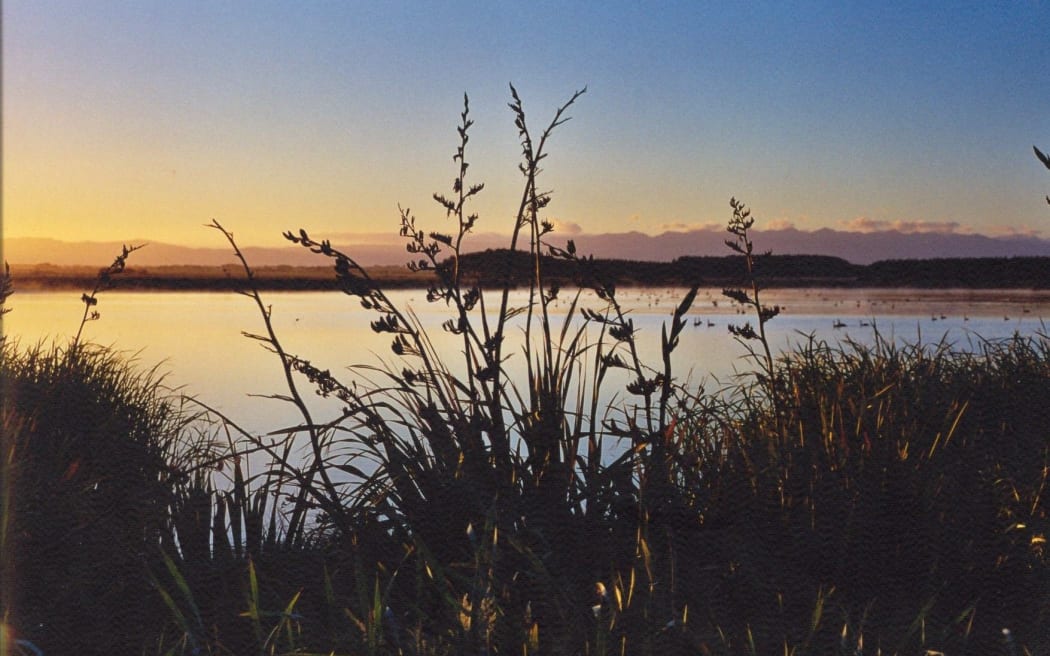 Pukepuke Lagoon