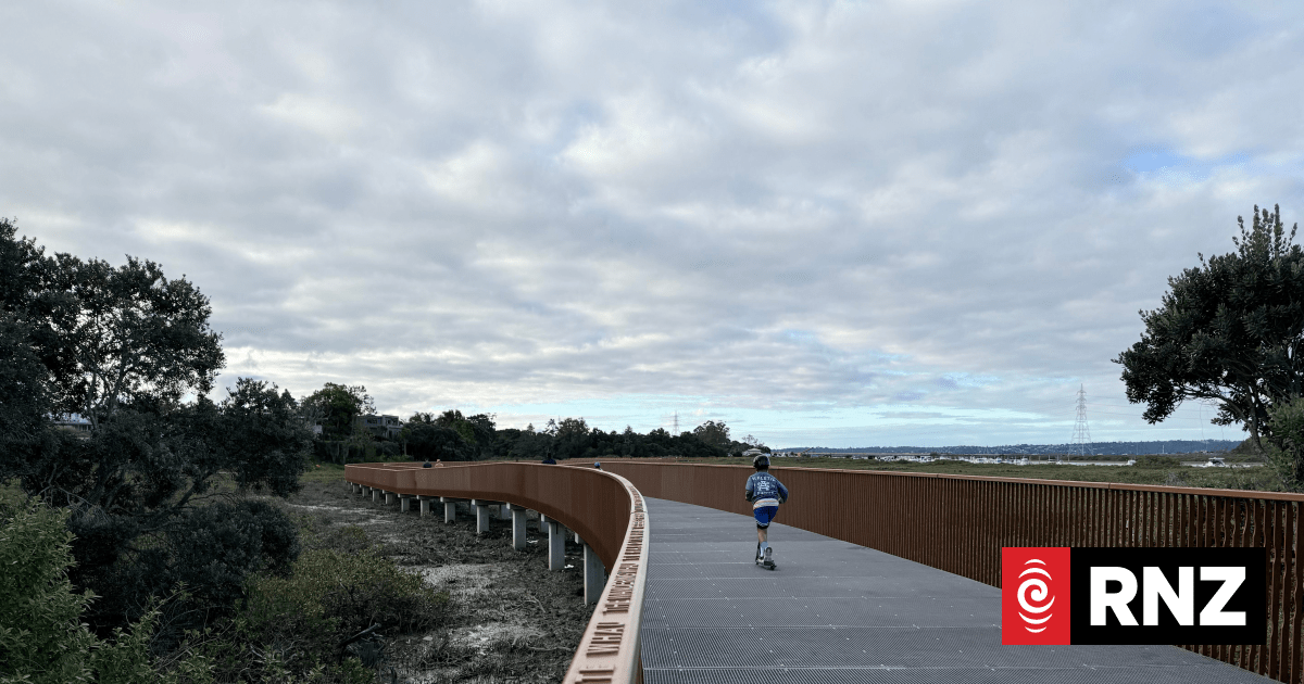 Group's last push for shared pathway to connect Auckland's harbours