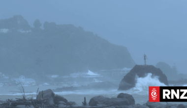 'A storm every eight days' - country's biggest insurer calls for systemic response