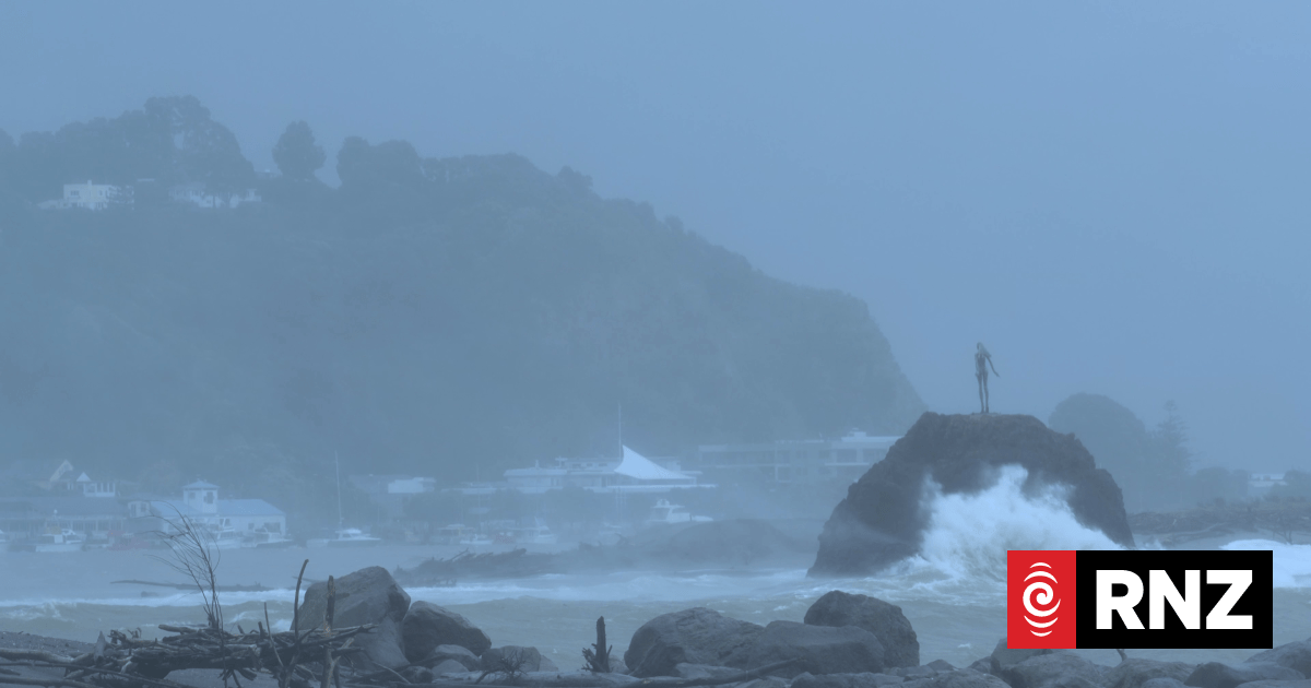 'A storm every eight days' - country's biggest insurer calls for systemic response