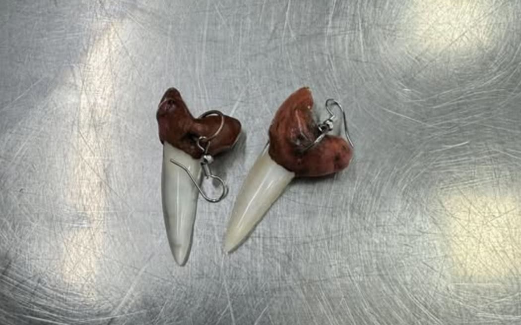 Māori academic Tanith Wirihana Te Waitohioterangi says being forced to remove his rei mako (traditional shark tooth earrings) at the New Zealand border felt like “a stripping of mana”, and is calling for better handling and cultural sensitivity of taonga by authorities.