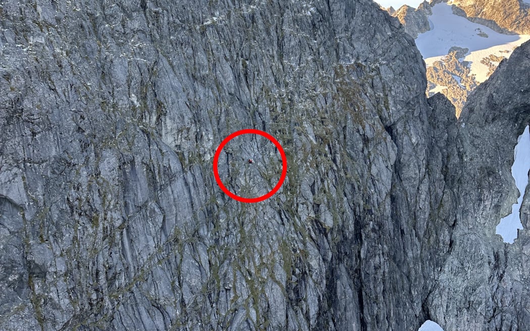 Two climbers await rescue on a mountainside near Sabre Peak. Credit / Southern Lakes Helicopters