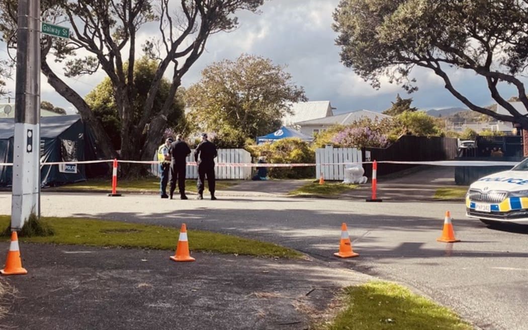 Armed police are guarding a scene in Lower Hutt and have shut off a section of Malone Road.