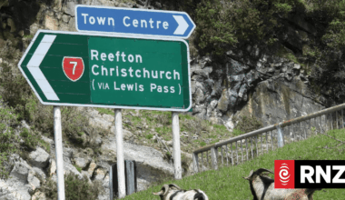 Councillor slams DOC over pest animal control
