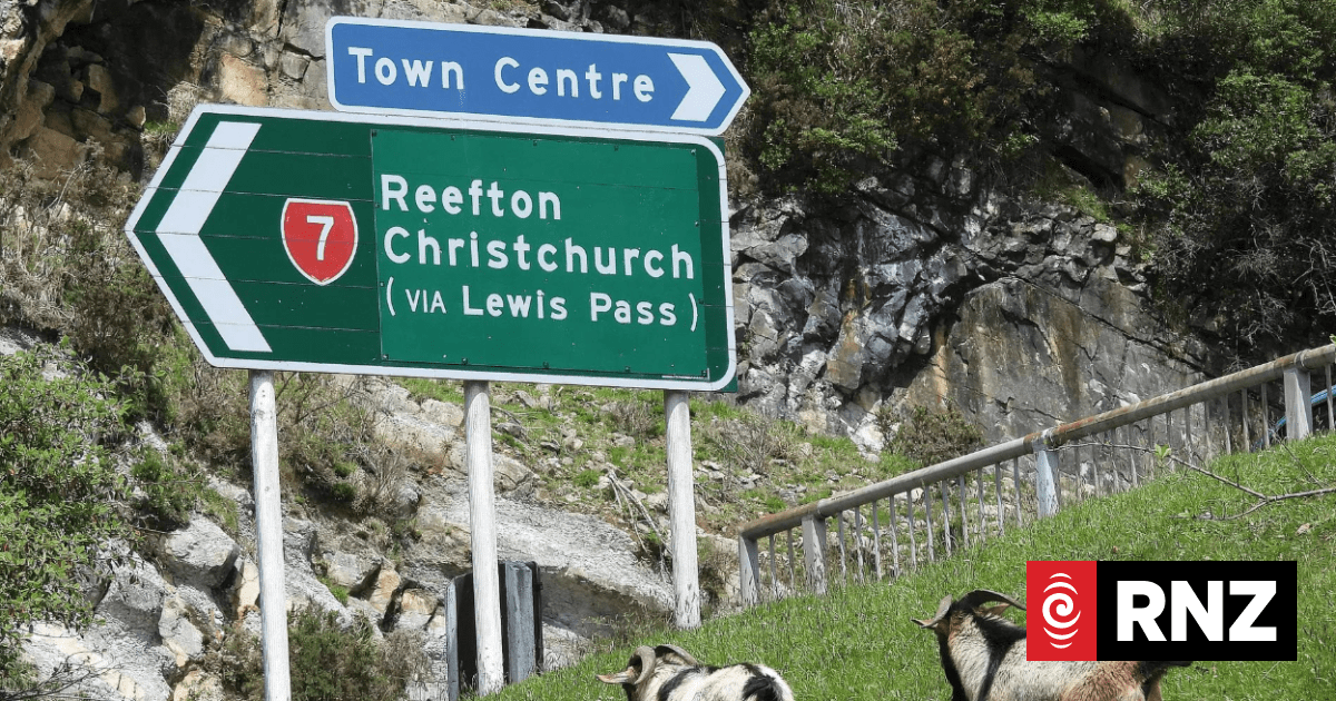 Councillor slams DOC over pest animal control
