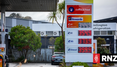 Relief at the petrol pump on the way, fuel industry says