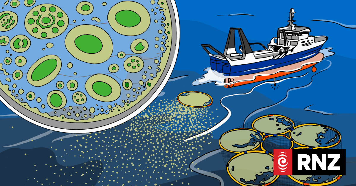 A carbon Catch-22: The risks of racing into climate change solutions