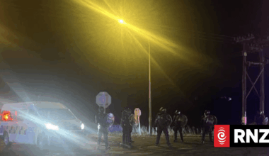 Police bust 'antisocial road user event' outside Palmerston North