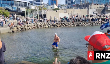 Anti-bottom trawling long distance swimmer breaks world record, arrives in Wellington
