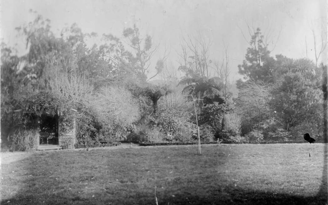 A view of Mason's garden, Taita, 12 September 1899.