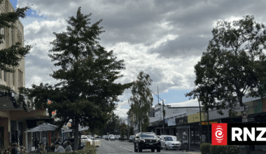 Council approves $730,000 tree budget after public outcry