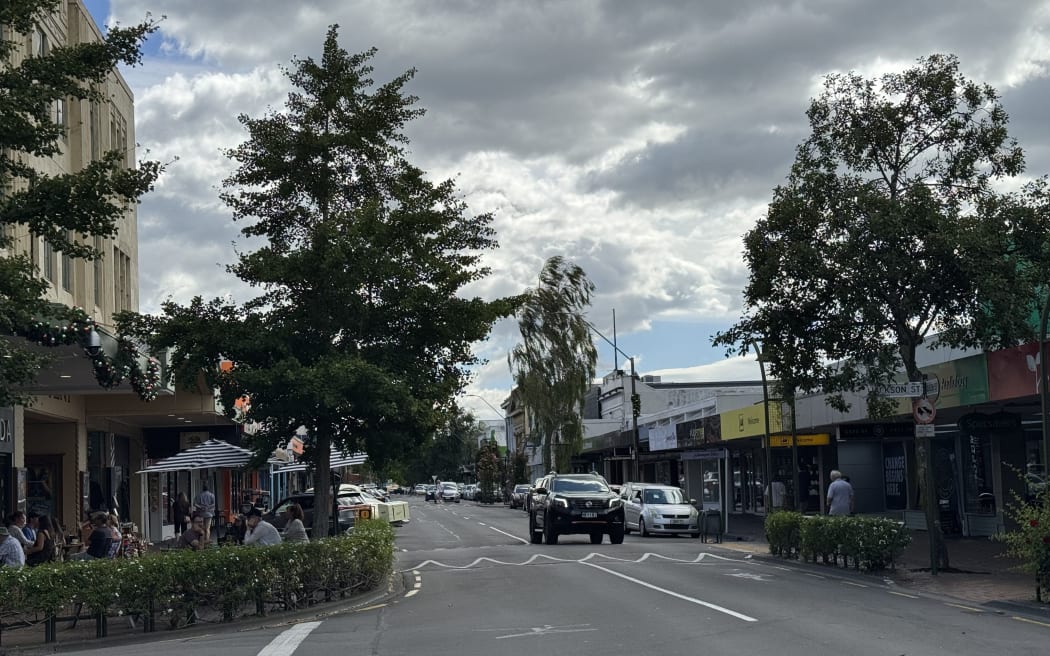 The gingko tree (L) outside Strada in Queen Street could be relocated by Masterton District Council, if it is practical to do so.