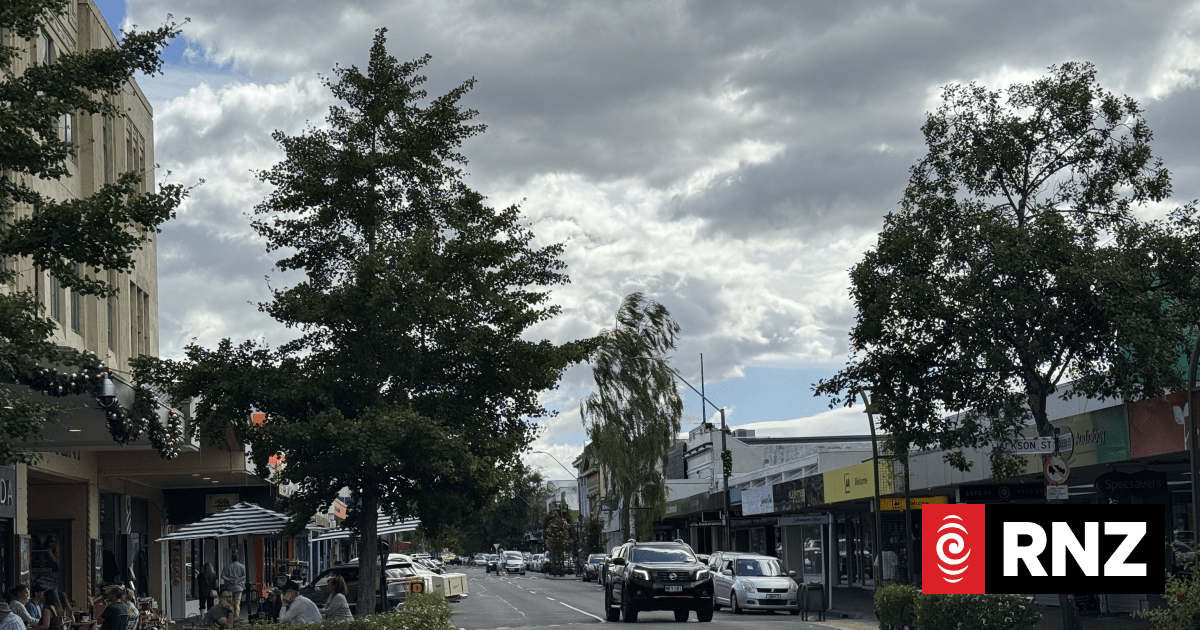 Council approves $730,000 tree budget after public outcry