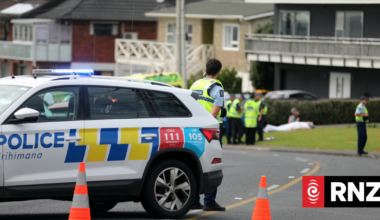 One dead after car crashes into hedge in Auckland's Stanmore Bay